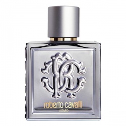 Roberto Cavalli Uomo Silver Essence, 100ml 3614223298501