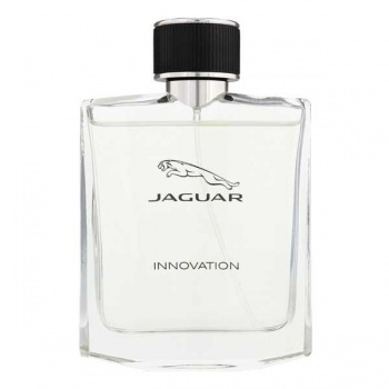 Jaguar Innovation, 100ml 7640111506072