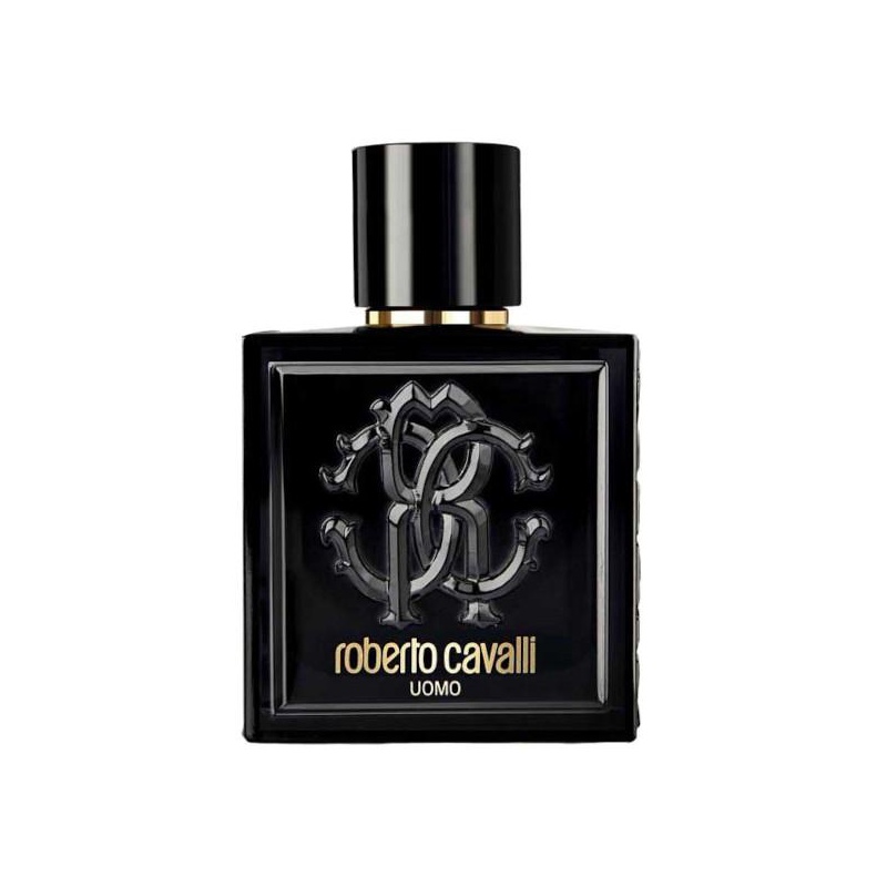 Roberto Cavalli Uomo, 100ml 3614221193952