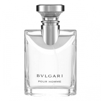 Bulgari Pour Homme, 100ml 0783320418952