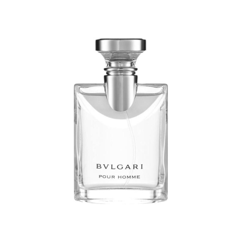 Bulgari Pour Homme, 100ml 0783320418952